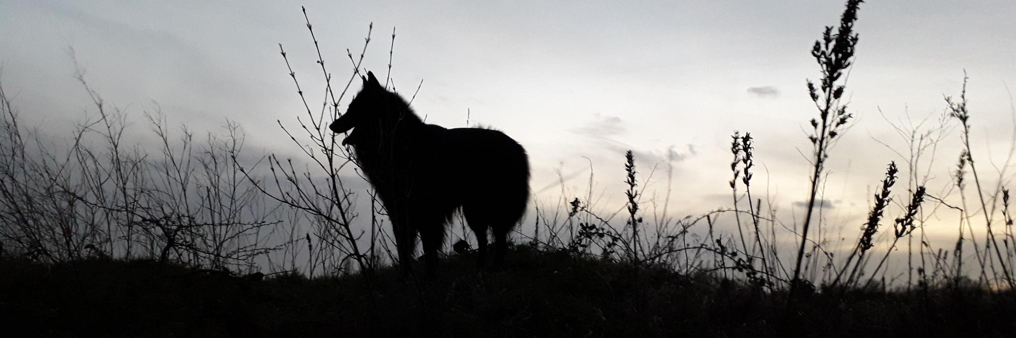 MartineM1972's profile banner image