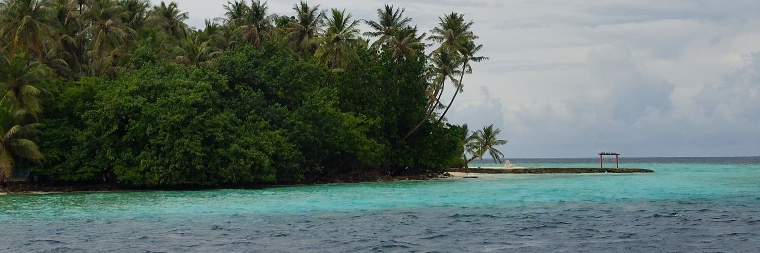 فیـبــز banner