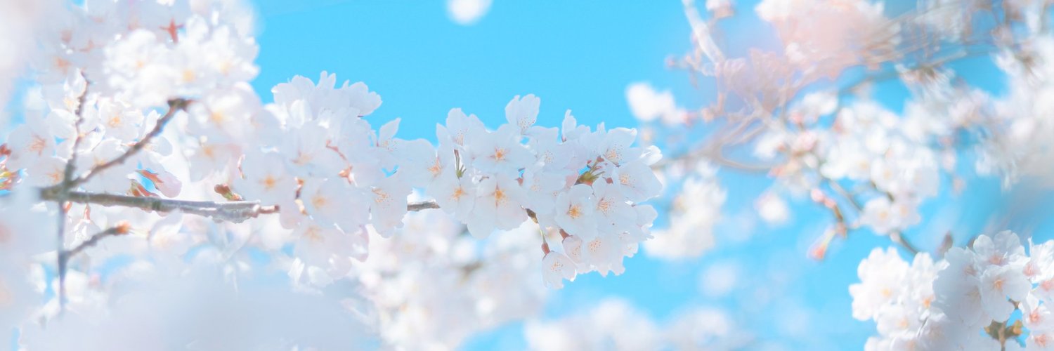 Altyeom's profile banner image