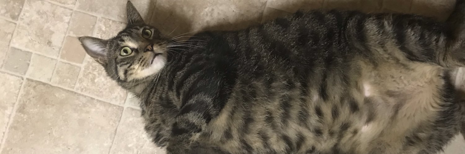Jefmessiah's profile banner image