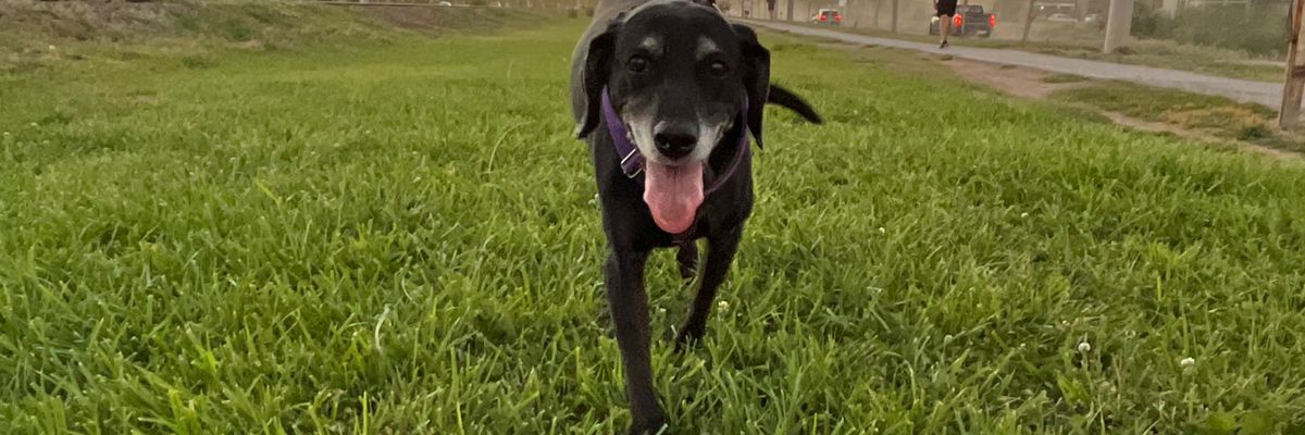 BrunoLagoss's profile banner image