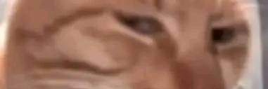 vemnapye's profile banner image