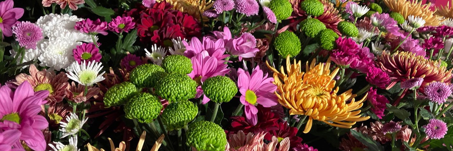 Deliflor Chrysanten banner