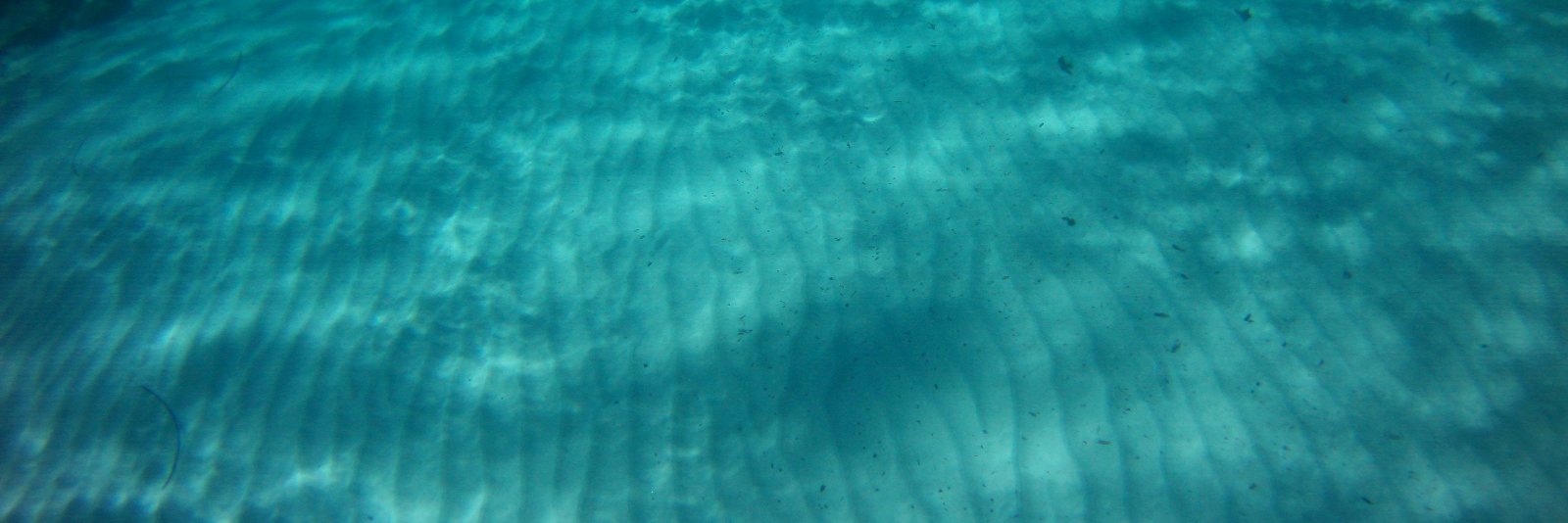 Dr Clarisse Outeiro Pean banner