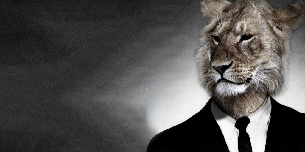ROAR_band's profile banner image