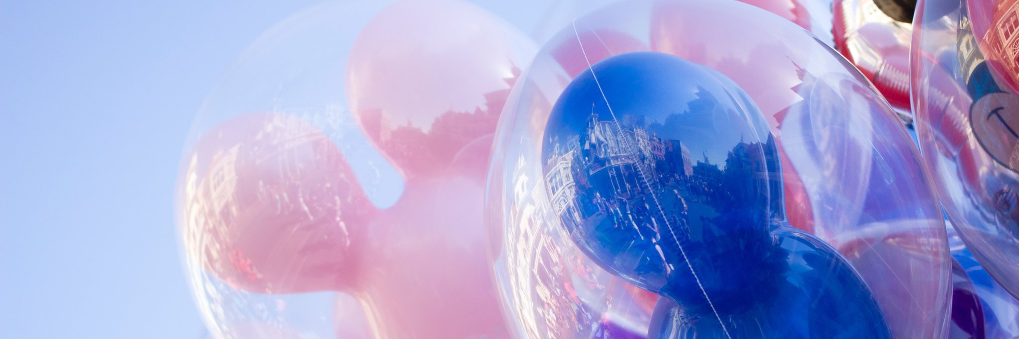 magicwithtaylor's profile banner image