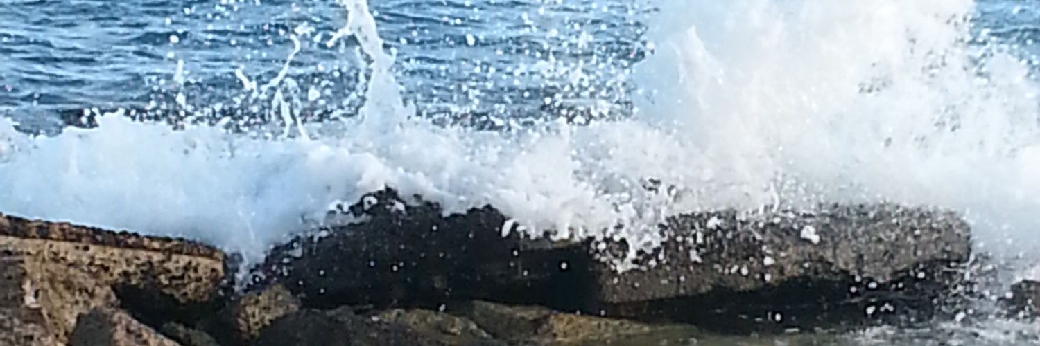 mele11803's profile banner image
