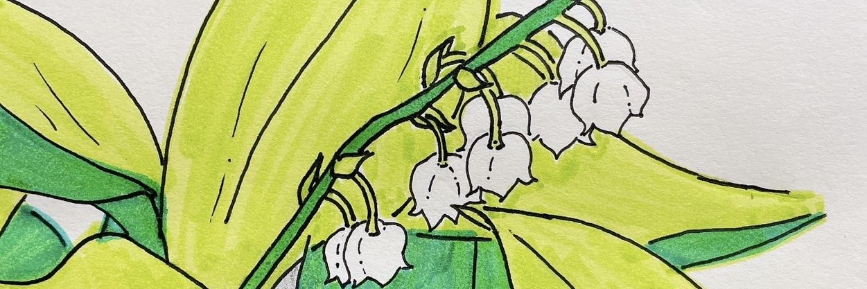 shoryumaru's profile banner image