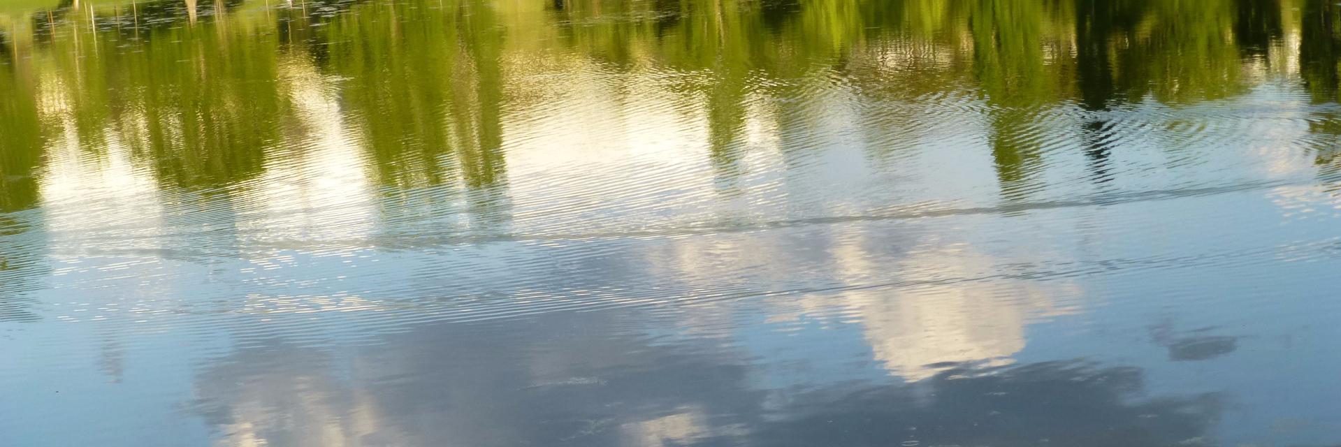 Marisol Peñafiel Trueba banner