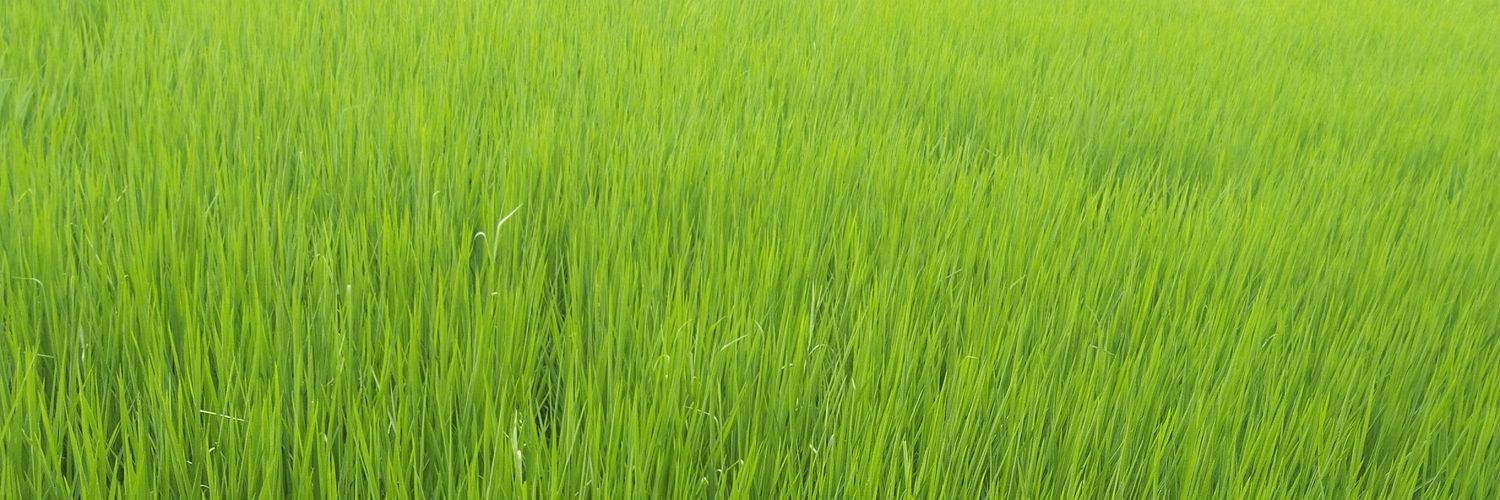 Proud_ind_bihar's profile banner image