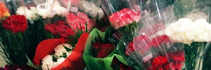 thequietstrum's profile banner image