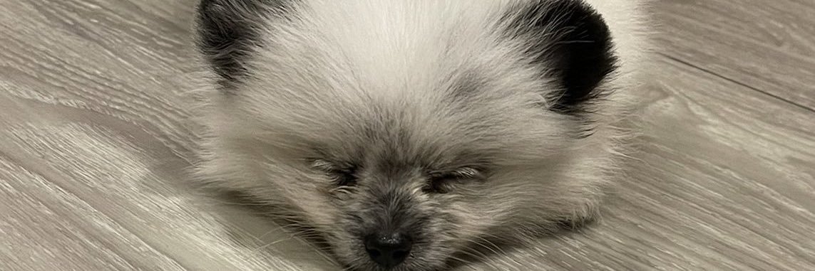 Gotsilasuperman's profile banner image