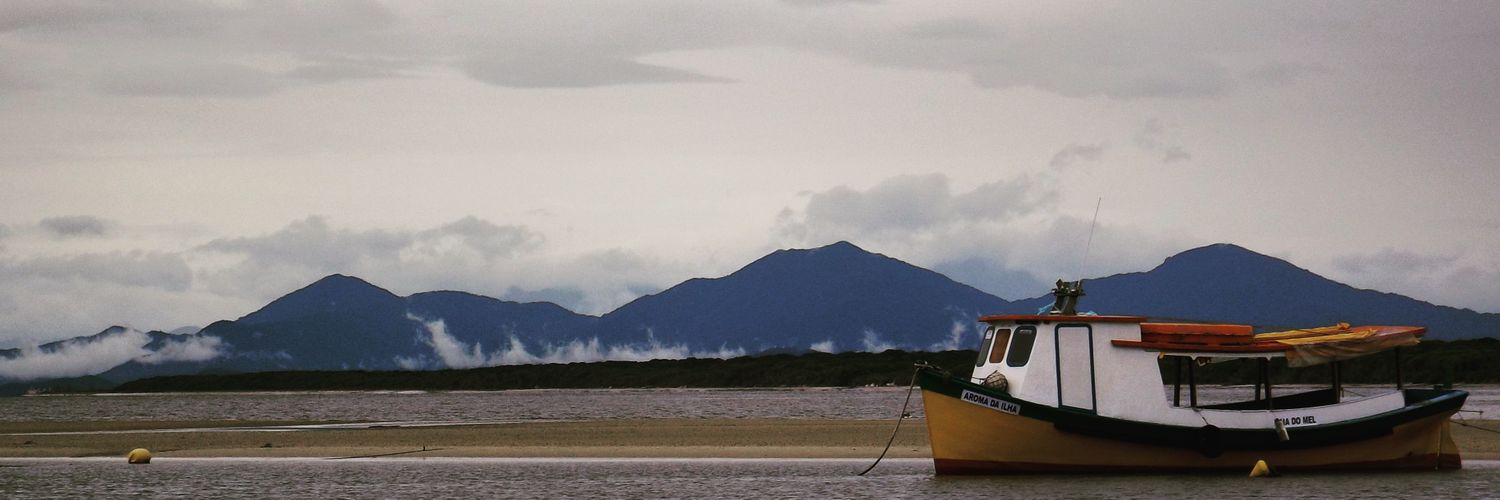 aropaes's profile banner image