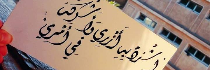 mernaelsaeed13's profile banner image