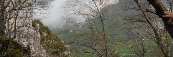 heleneclot Profile Banner