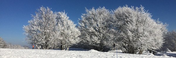 blanraz Profile Banner