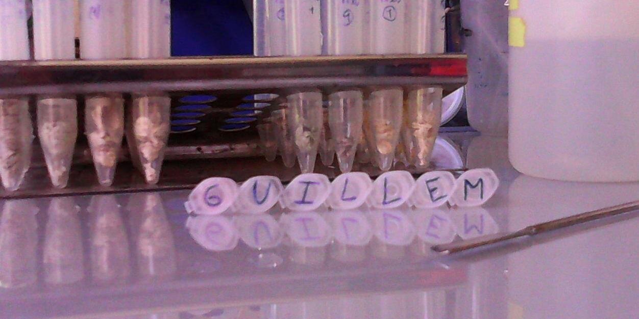 GuillemLlB's profile banner image