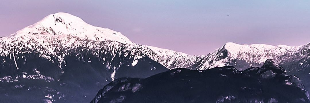 marialaura_df's profile banner image