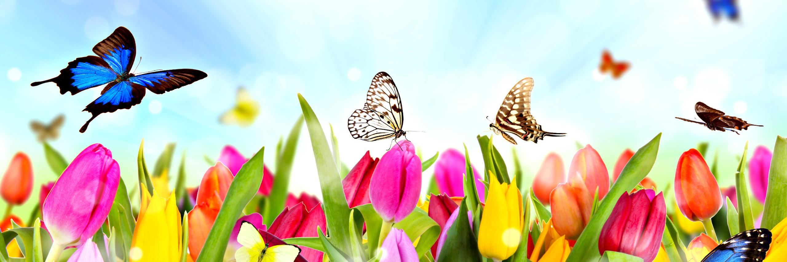 tamtamlpp's profile banner image