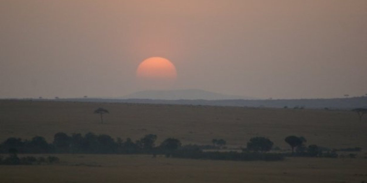 Shelley Benbow banner