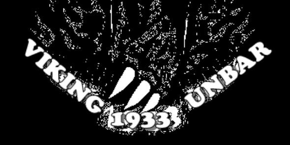 viking_UNBAR's profile banner image