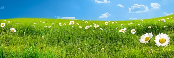 ClaireChambrier Profile Banner