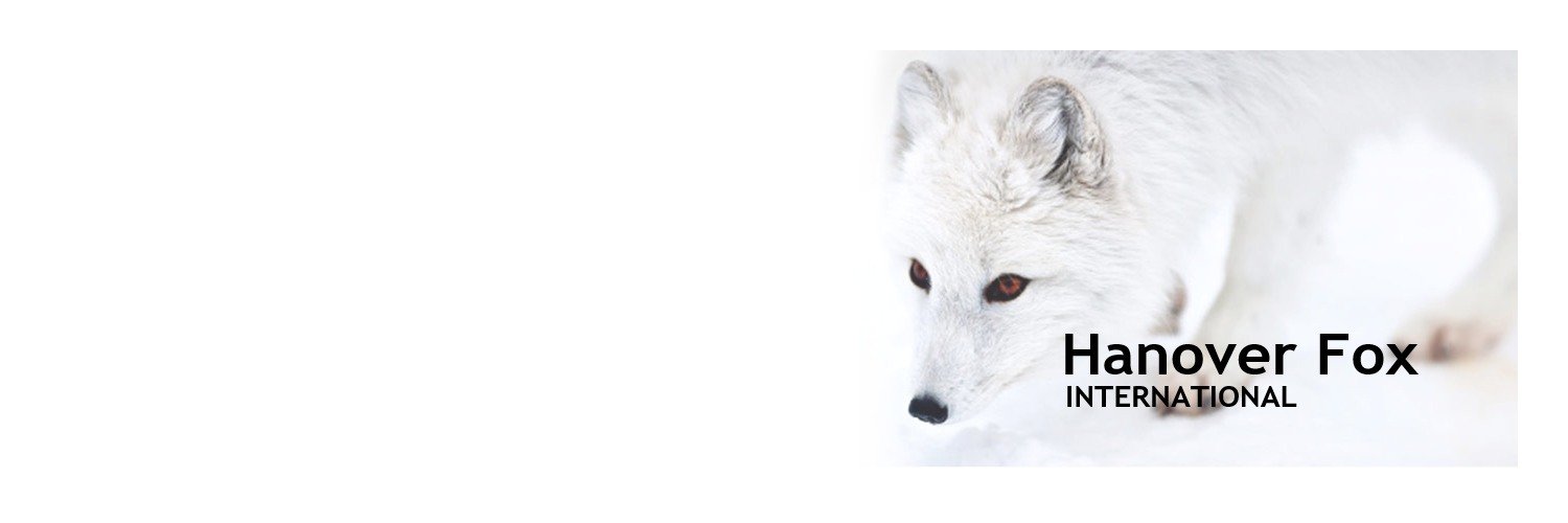 HanoverFox's profile banner image