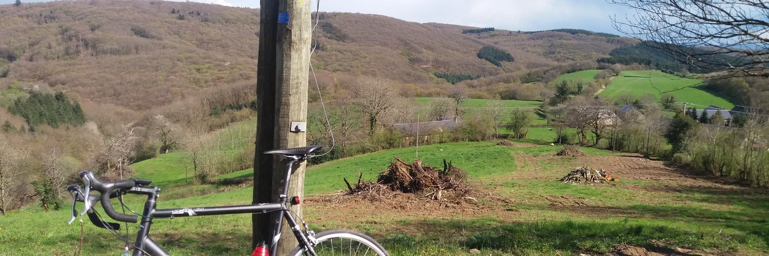 Geert Vanmechelen banner