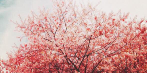 Demi_tagdr's profile banner image