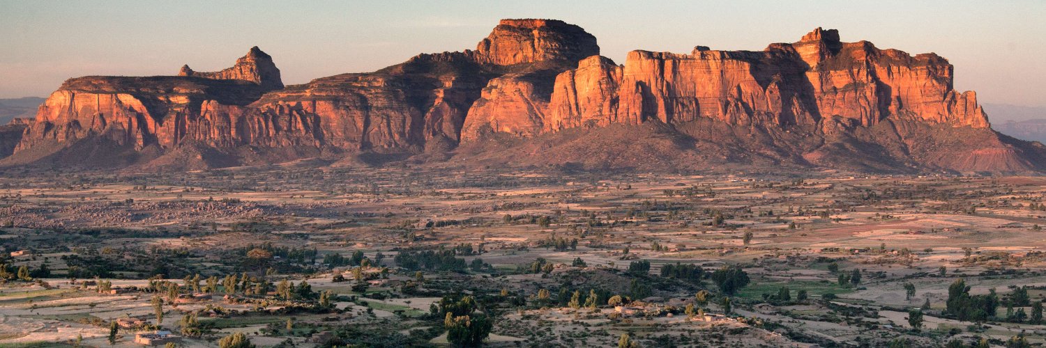 Bitania Tadesse banner