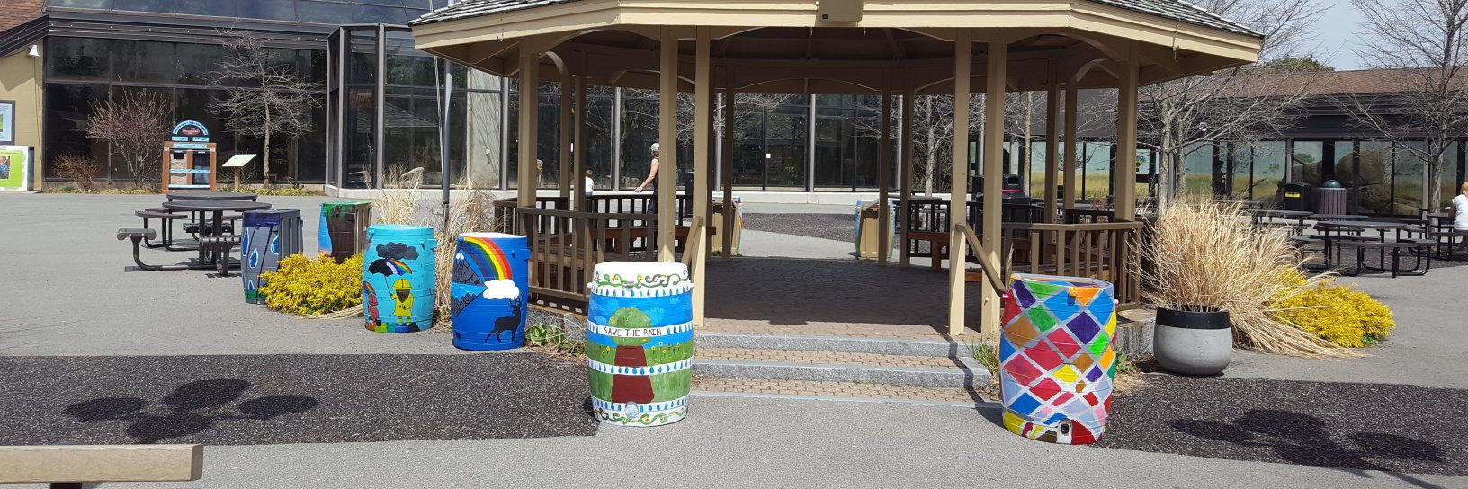 Save the Rain banner