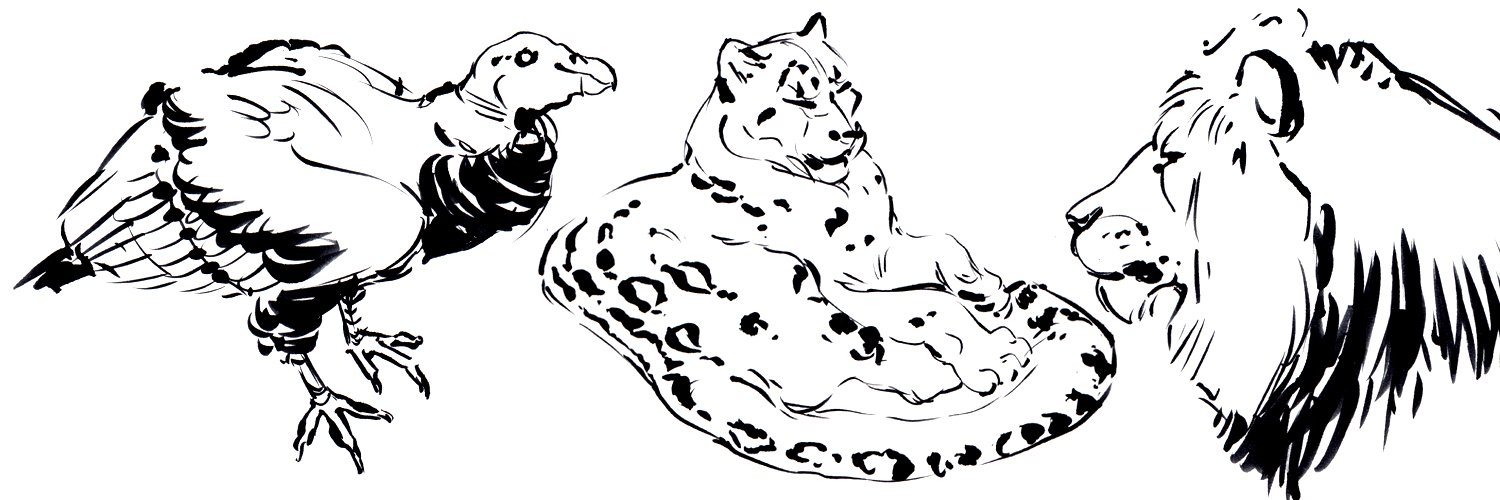 Charlotte Belland banner