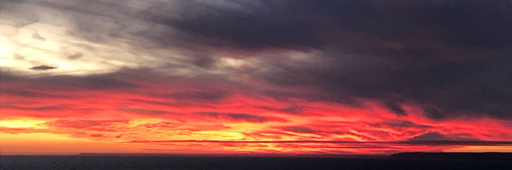 Elinor Wighton banner