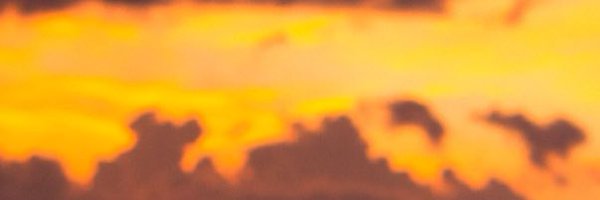 withwylson Profile Banner