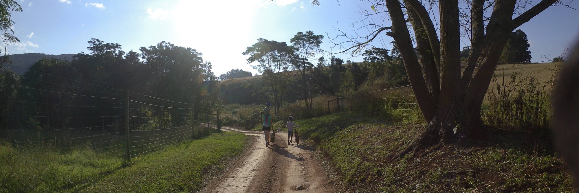 Stuart Clifton banner