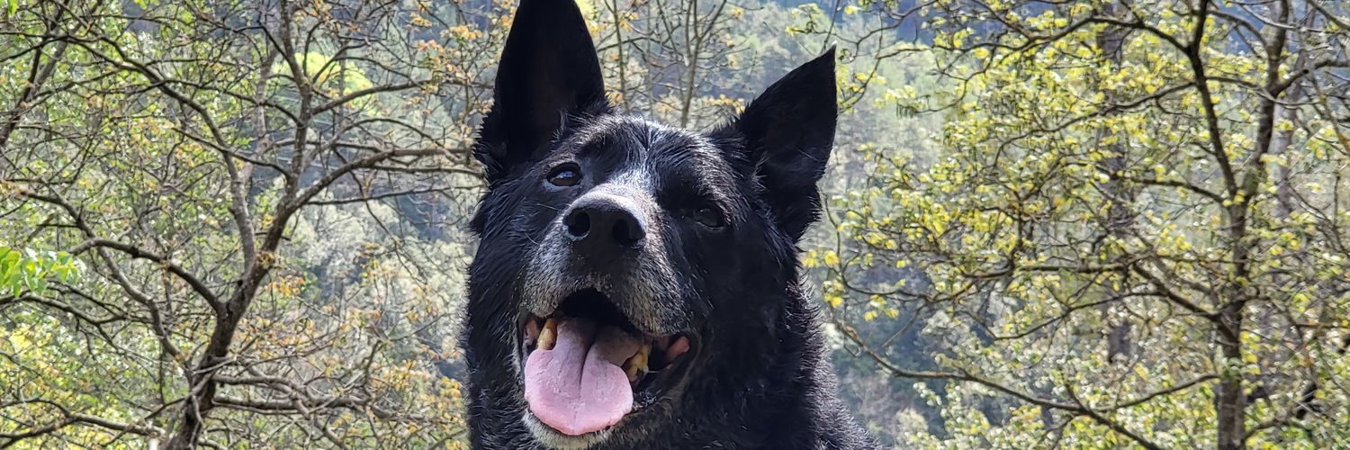 CHARLYCC-1965 banner