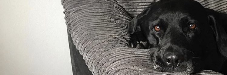iv_Jordan's profile banner image