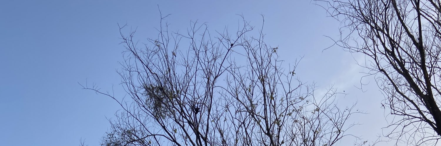 ERVolatility's profile banner image
