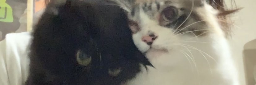 REOREG's profile banner image