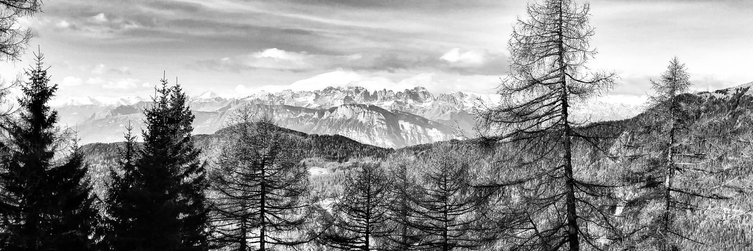 Pietro Franceschi banner