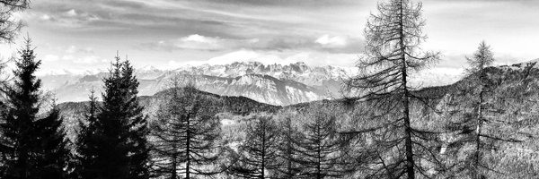 PiFranceschi Profile Banner