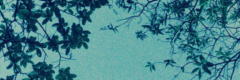 tanarejay's profile banner image