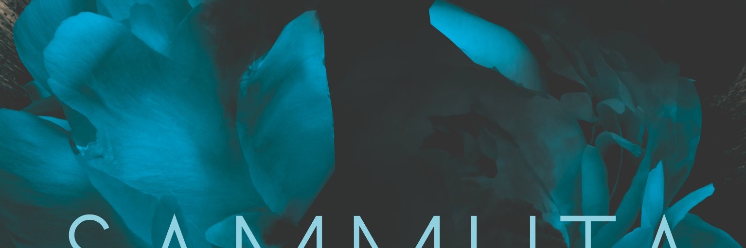 SallaSimukka's profile banner image