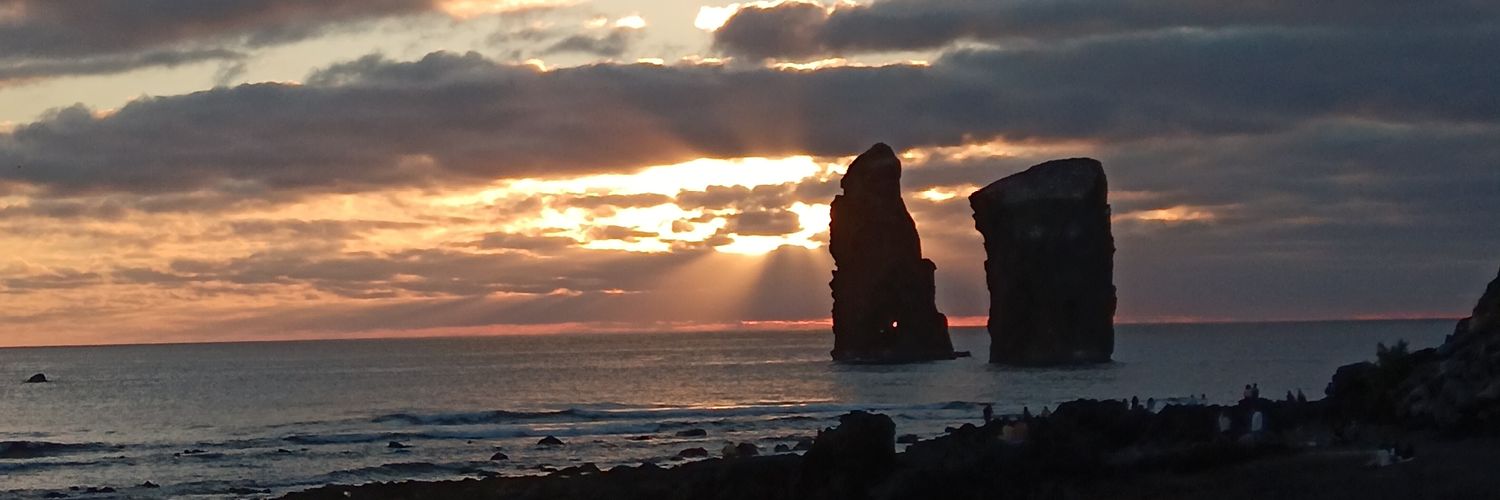 ♔ Carles Navarro ♔ banner