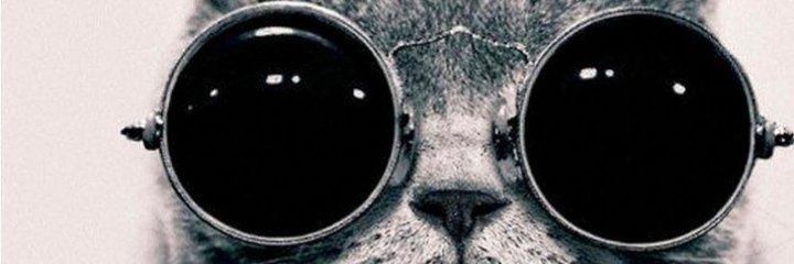 Ebru_kmsglu's profile banner image