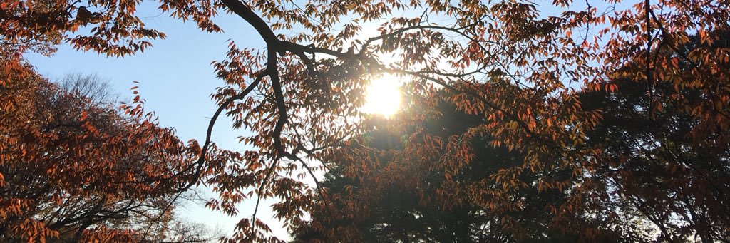 BenChew17's profile banner image