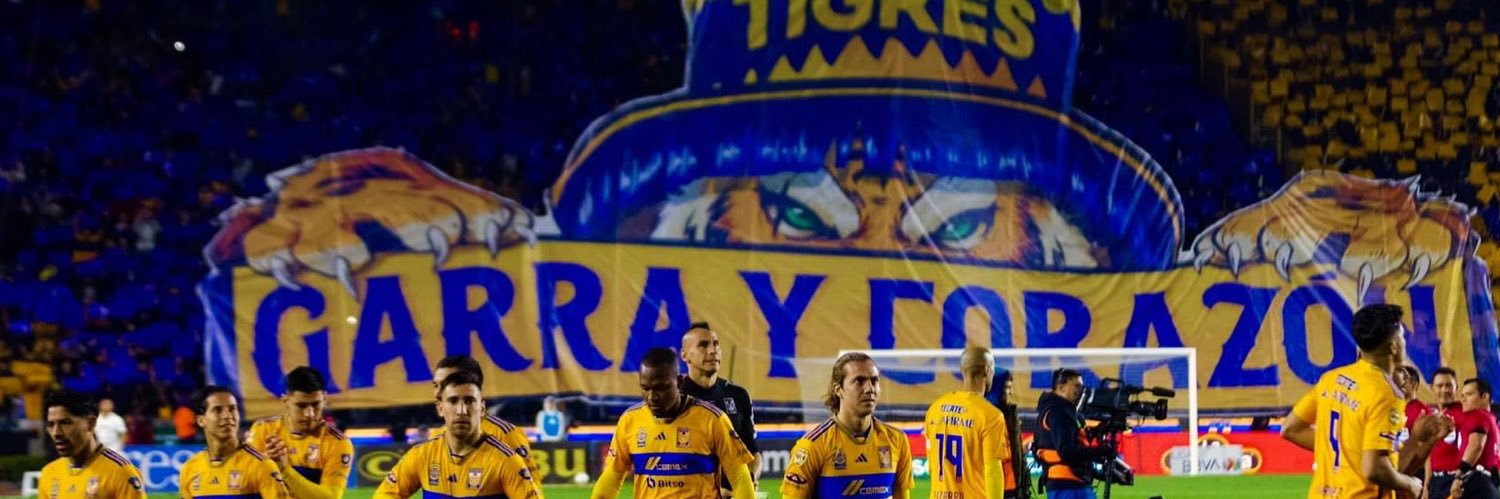 MarioDobleEle's profile banner image