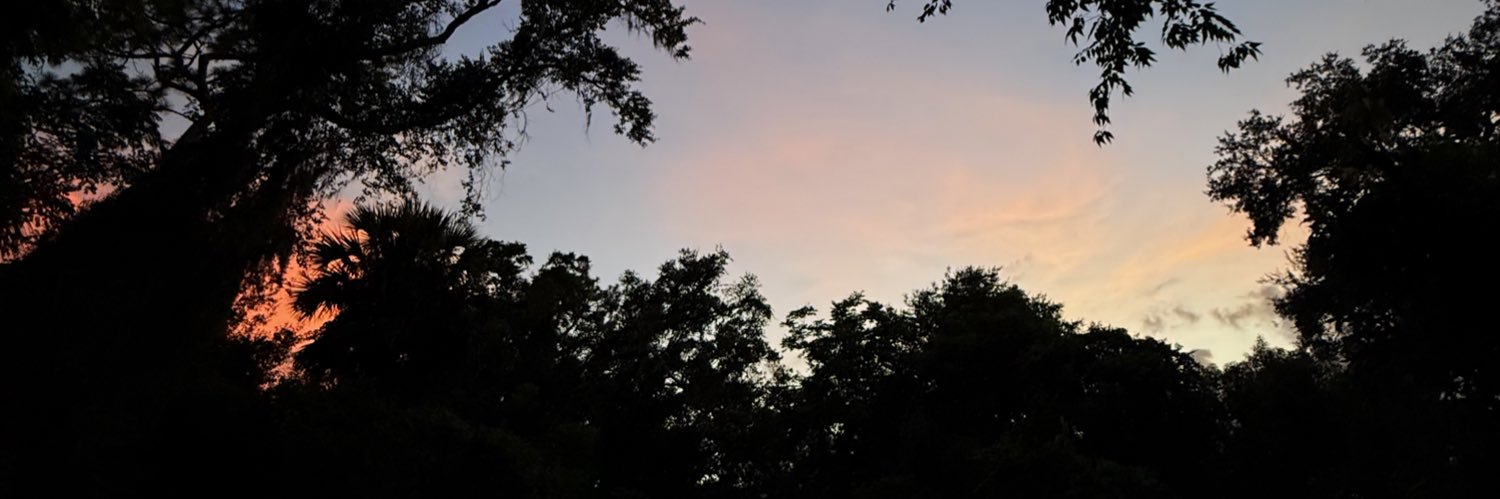 Chr1s____'s profile banner image