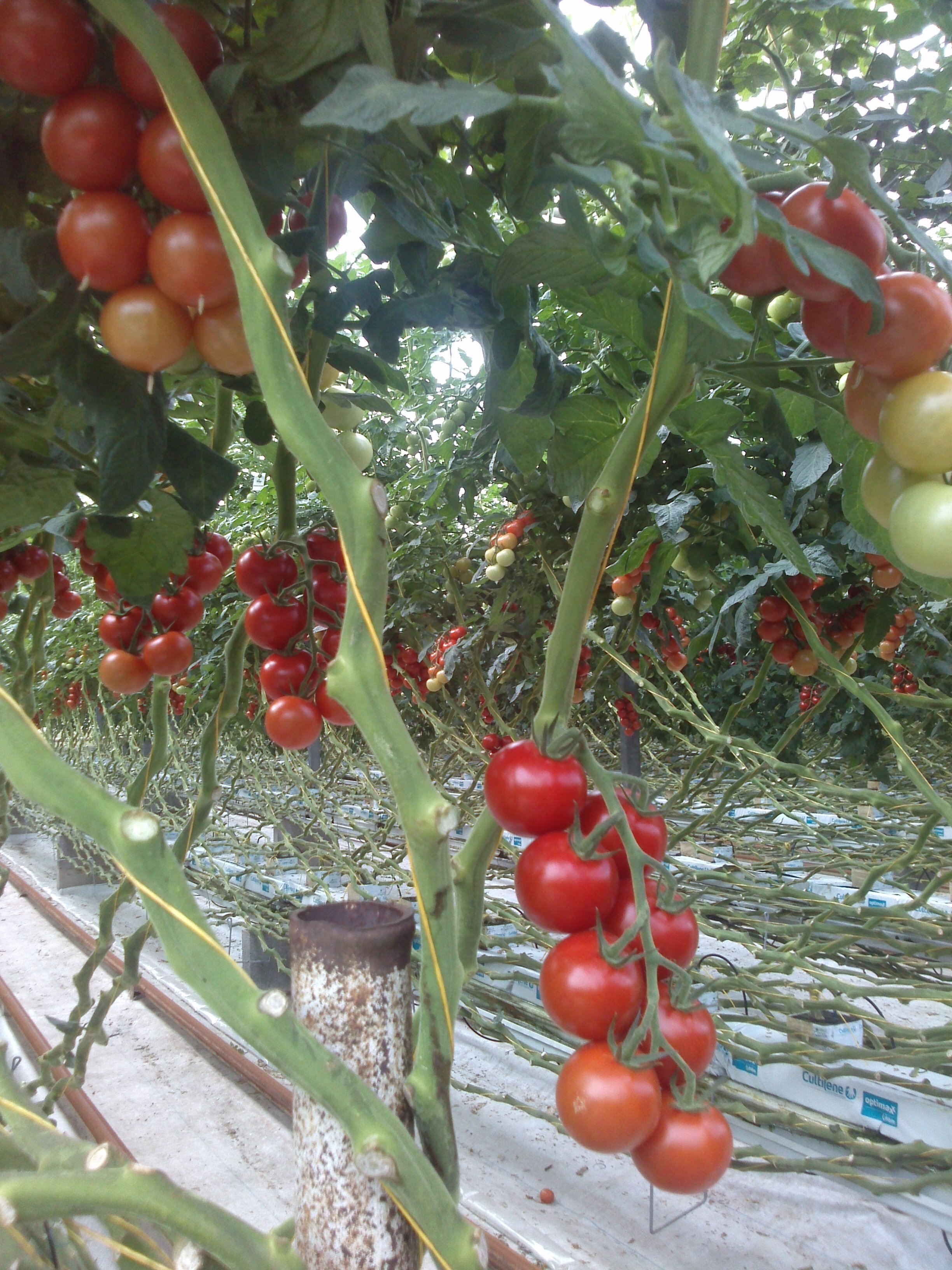 Croftpak's profile banner image