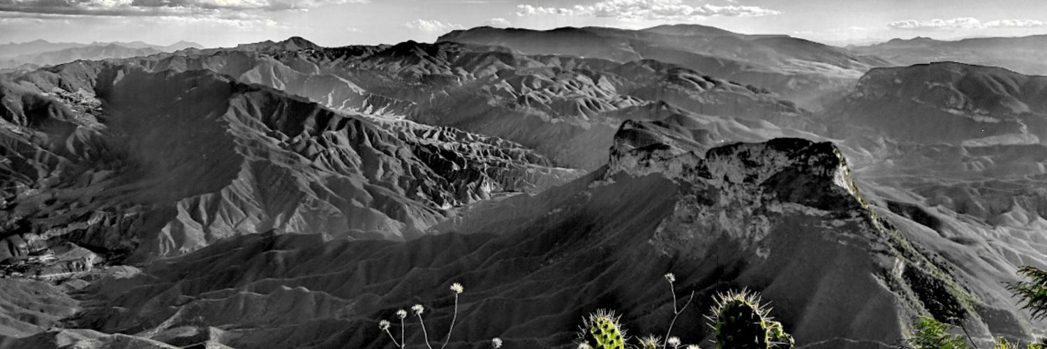 Ricardo Ibáñez banner